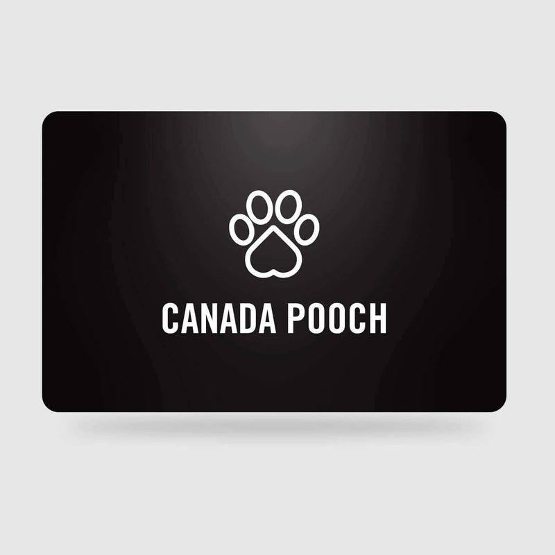 Load image into Gallery viewer, Calming Weighted Vest for Dogs 🍁