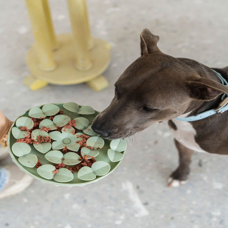Load image into Gallery viewer, Hide & Seek Silicone Snuffle Dog or Cat Mat