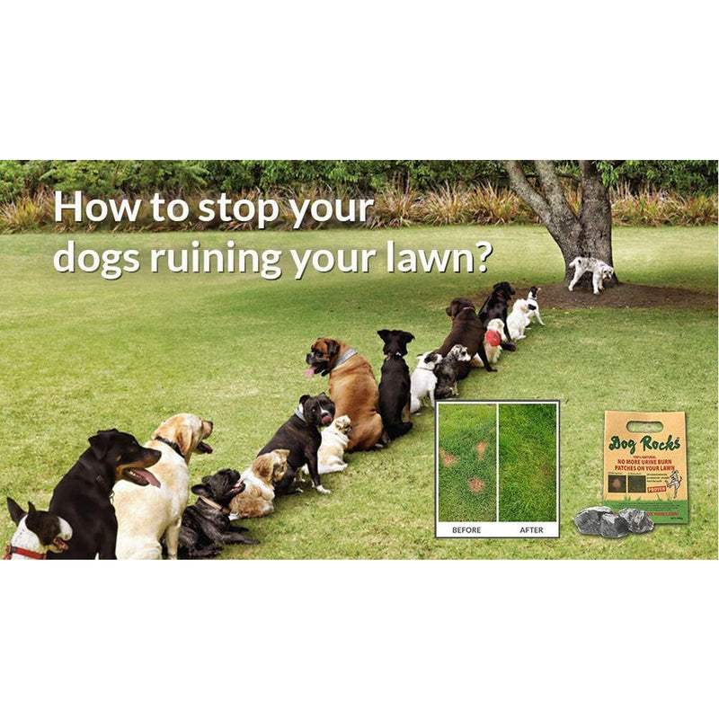 Load image into Gallery viewer, Dog Rocks Lawn Savers no Pet Burn Patches!