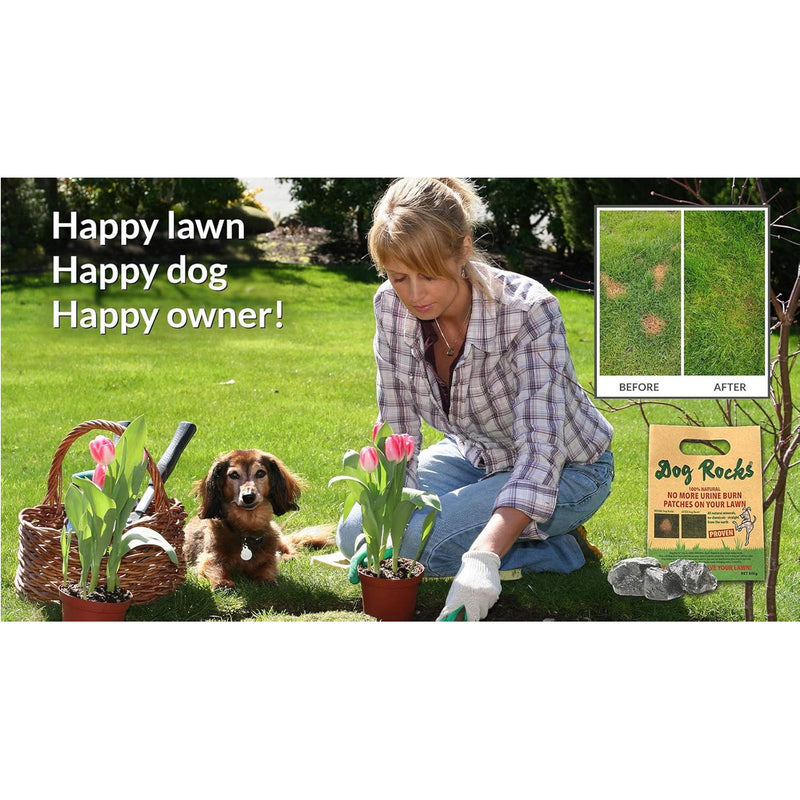 Load image into Gallery viewer, Dog Rocks Lawn Savers no Pet Burn Patches!
