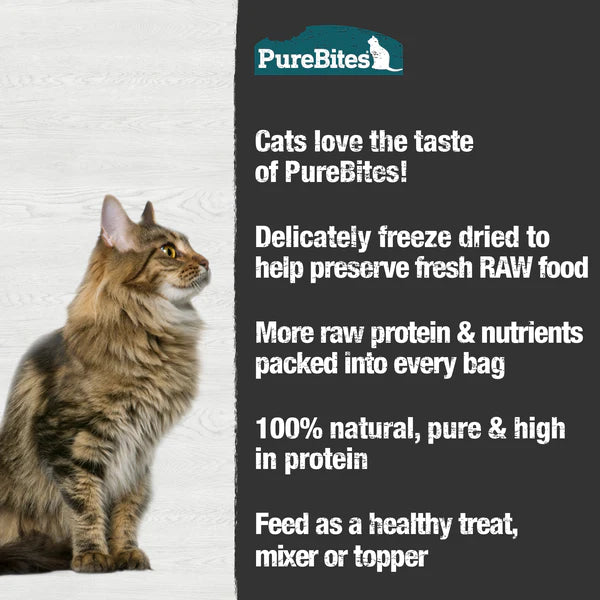 Load image into Gallery viewer, PureBites Minnows Freeze Fried Cat Treat 31g