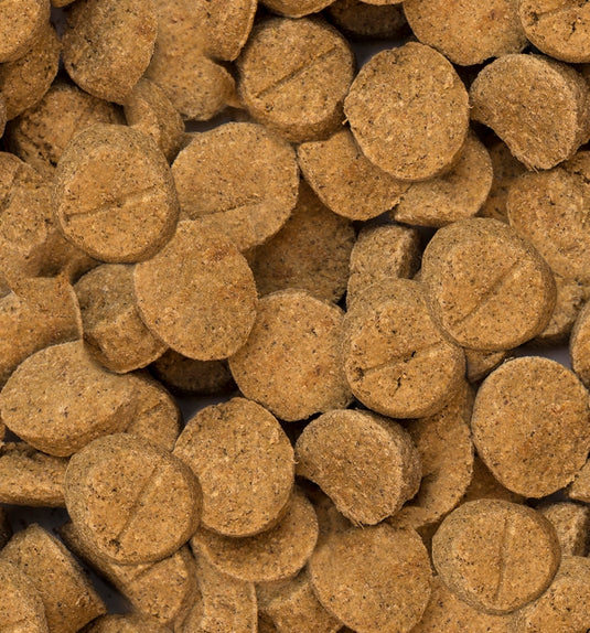 Oven Baked Tradition Puppy Large Breed Dog Food - Chicken 25 lbs 🍁