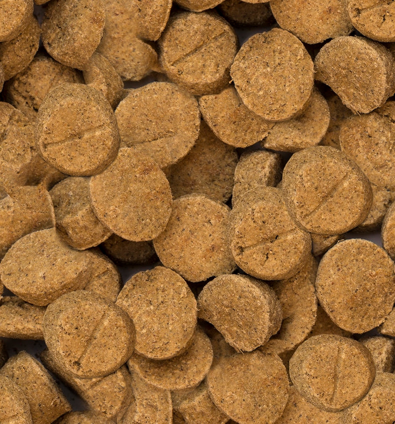 Load image into Gallery viewer, Oven Baked Tradition Adult Large Breed Dog Food - Chicken 25 lb 🍁