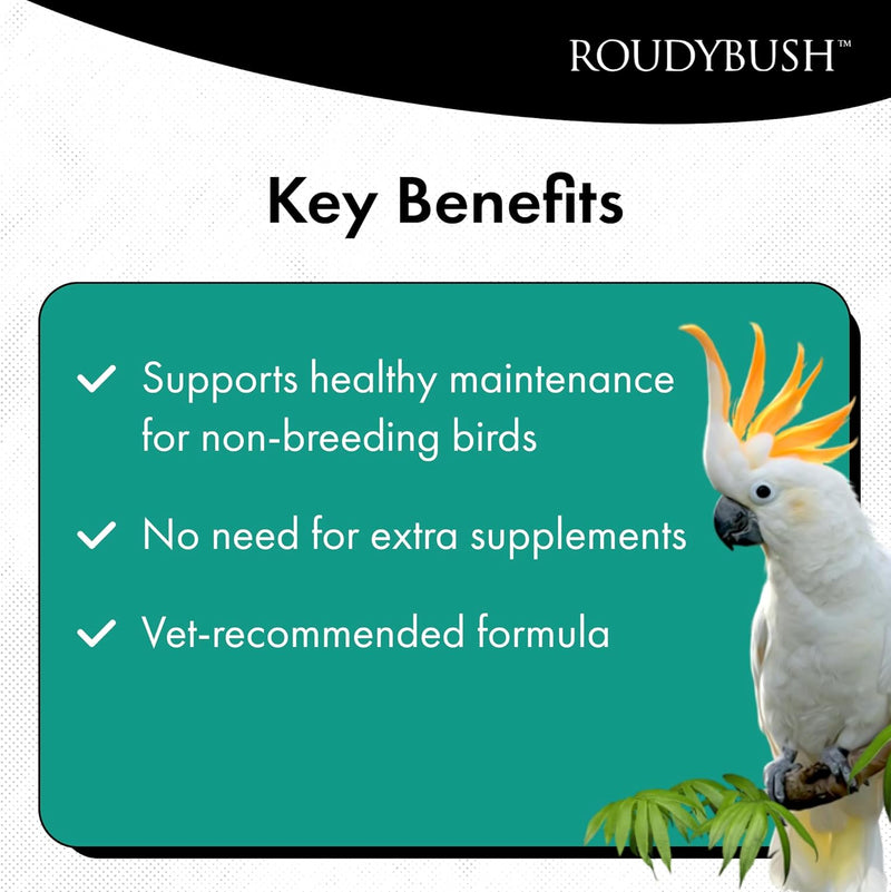 Load image into Gallery viewer, Advertisement for Roudybush bird supplement with a parrot and key benefits listed.