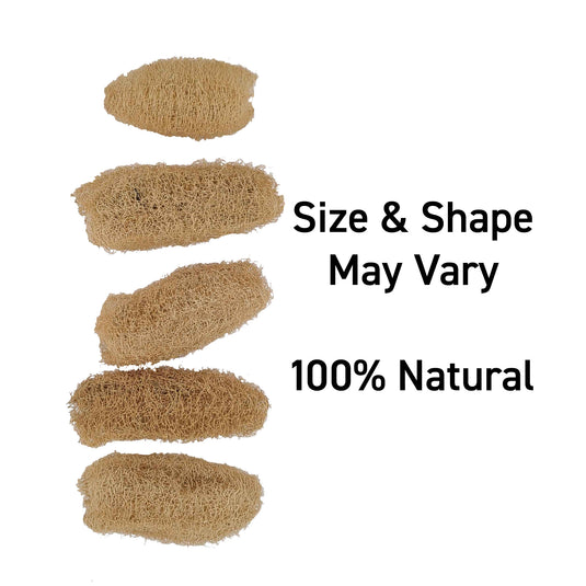 Zoo-Max Bird & Small Pet Toy Parts - Loofah