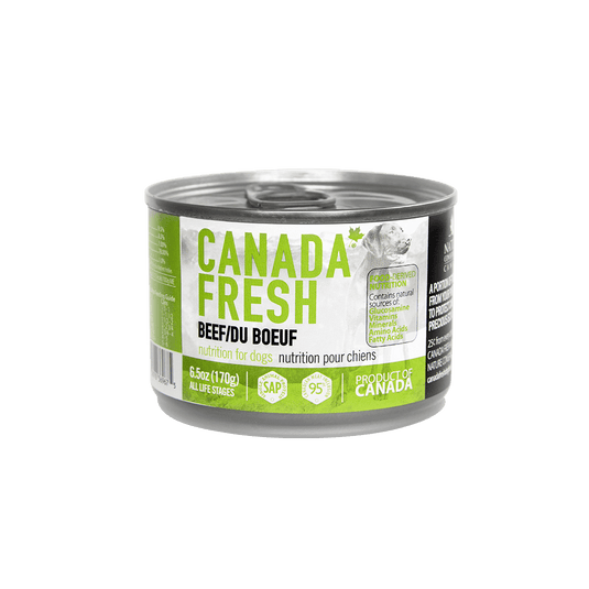 Canada Fresh Beef Pate Wet Dog Food 🍁