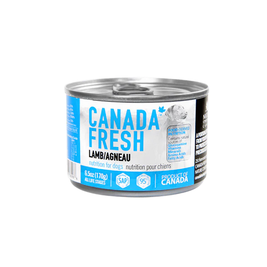 Canada Fresh Lamb Pate Wet Dog Food 🍁