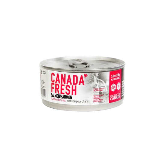 Canada Fresh Salmon Pate Wet Cat Food 🍁