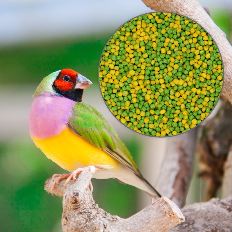 Load image into Gallery viewer, Pretty Bird's Perle Morbide Bird Breeding Pellets