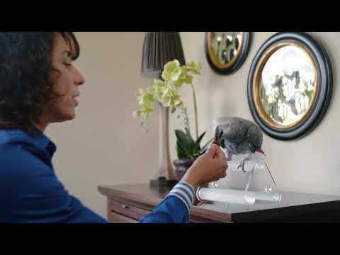 Load and play video in Gallery viewer, ZuPreem Pure Fun Parrots & Conure Enrichment Diet - 2 lb