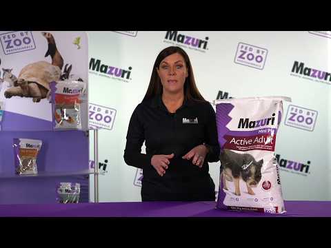Load and play video in Gallery viewer, Mazuri Active Adult Mini Pig Food - 25 lbs