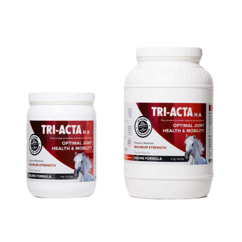 Load image into Gallery viewer, Tri-Acta H.A Maximum Equine Mobility Support for Sport/Working & Retired Horses