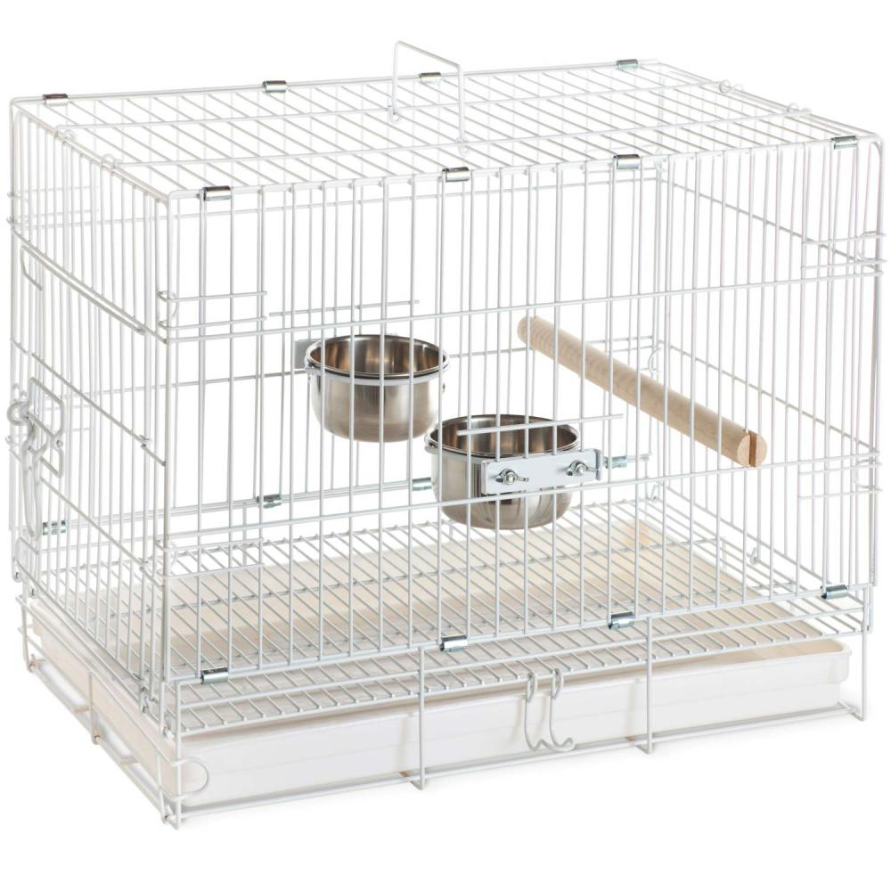 African grey hot sale travel carrier