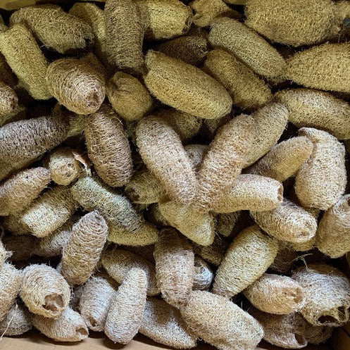 Zoo-Max Bird & Small Pet Toy Parts - Loofah