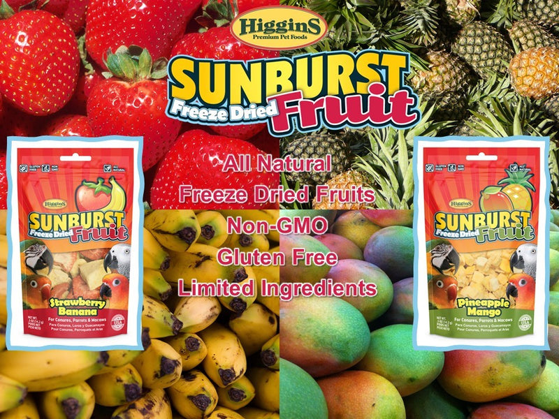 Load image into Gallery viewer, Higgins Sunburst Freeze Dried Fruit Pineapple Mango Treat