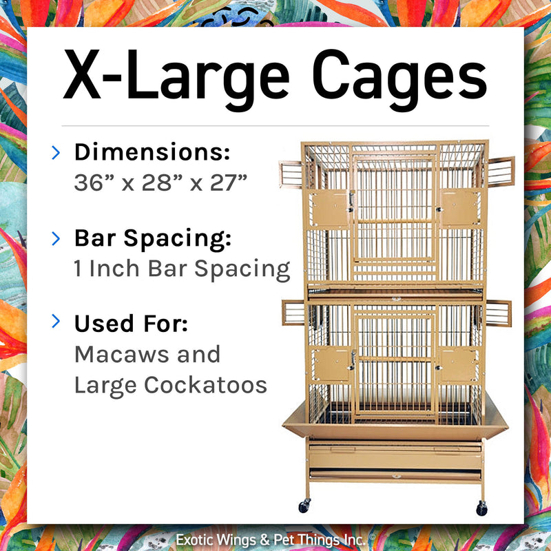 Load image into Gallery viewer, Bird Boarding