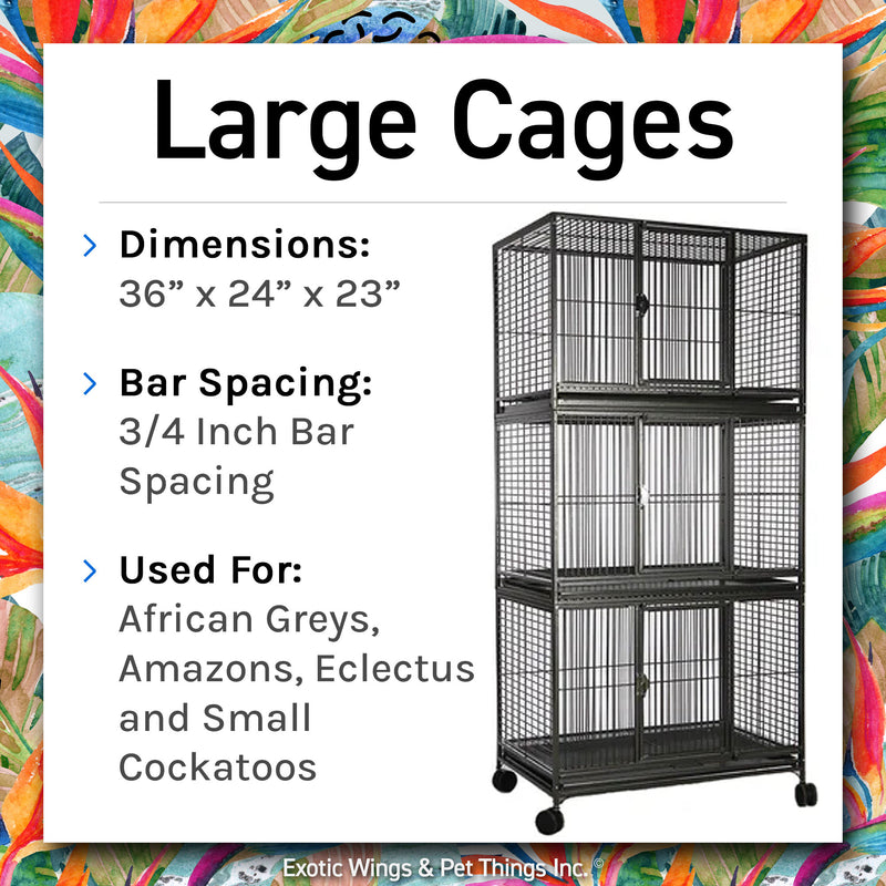 Load image into Gallery viewer, Bird Boarding