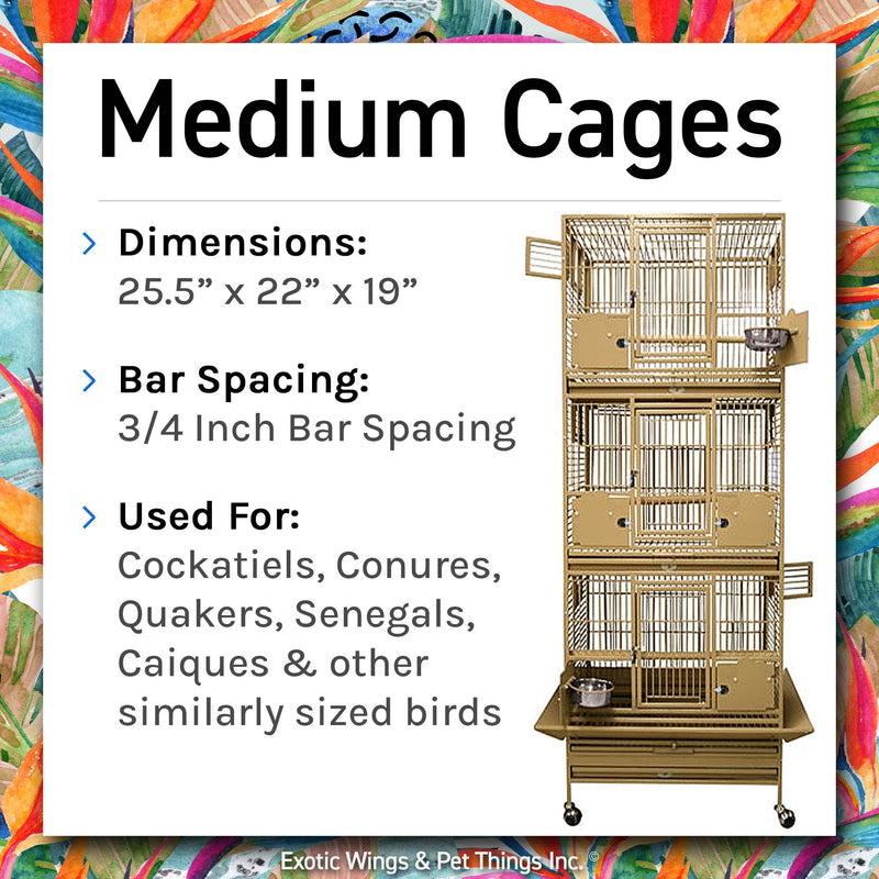 Load image into Gallery viewer, Bird Boarding