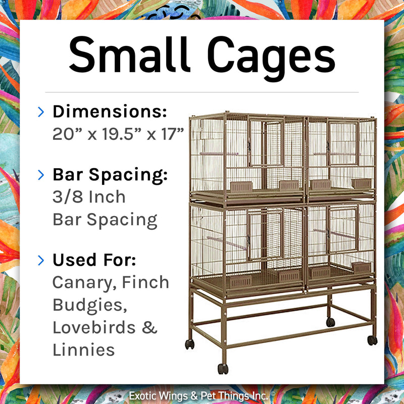 Load image into Gallery viewer, Bird Boarding