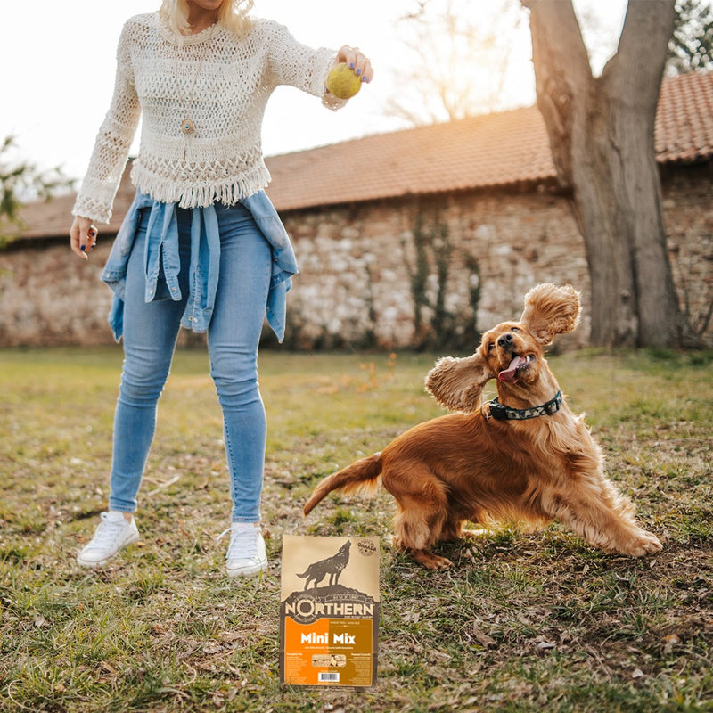 Load image into Gallery viewer, Northern Biscuit Vegan Mini Mix Pumpkin Pie & Peanut Crunch - 450g Case 🍁