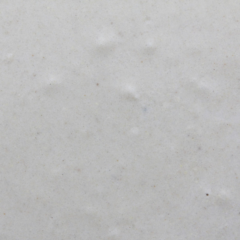 Load image into Gallery viewer, Higgins InTune HandFeeding Formula Parrot/Parakeet/Bird