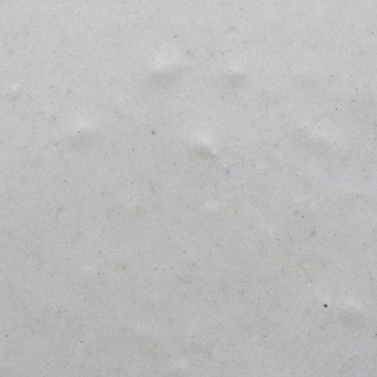 Higgins InTune HandFeeding Formula Parrot/Parakeet/Bird