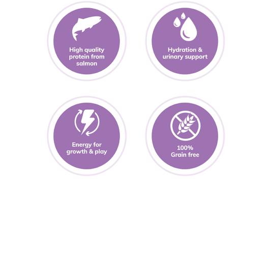 Wellness Complete Health Grain Free Gravies Salmon Dinner Wet Cat Food