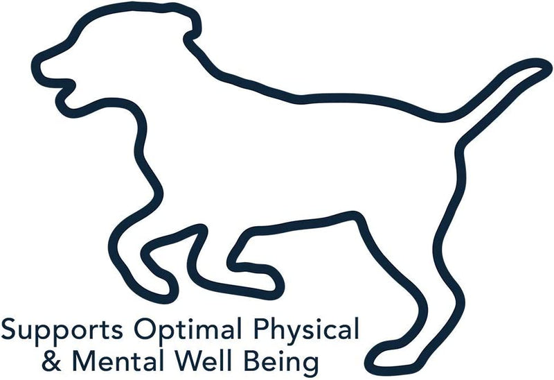 Load image into Gallery viewer, Daily Multivitamin Dog Soft Chews