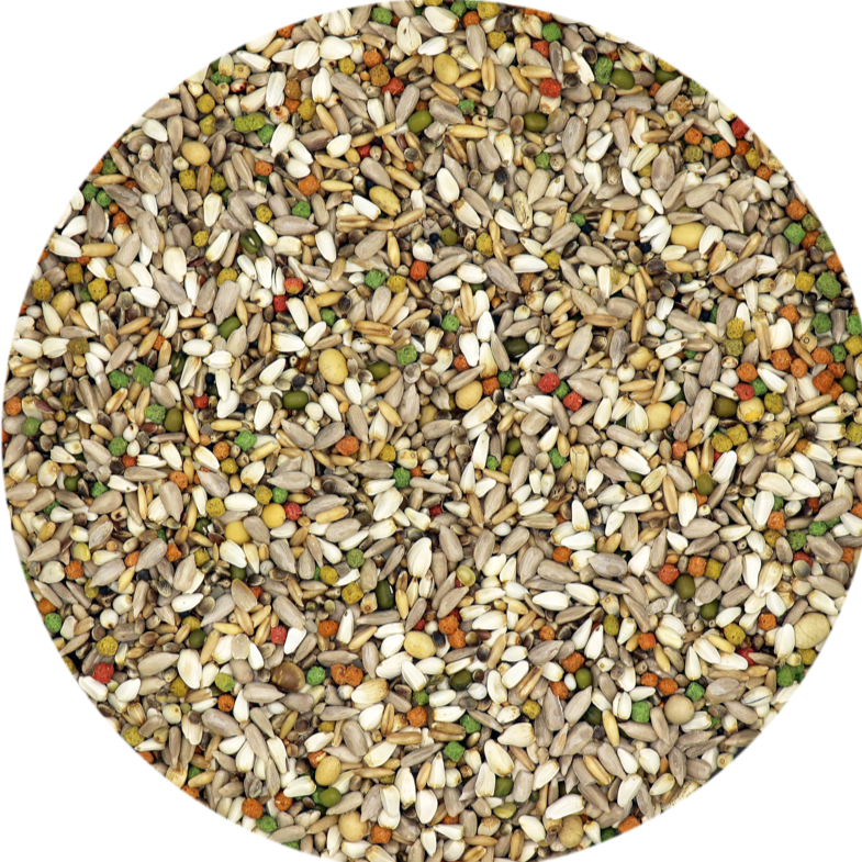 Load image into Gallery viewer, Versele-Laga Plus I.C. Energy