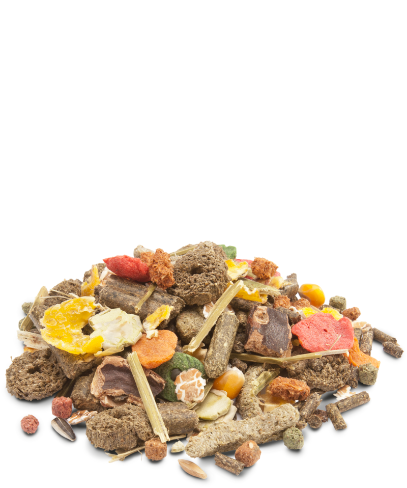 Load image into Gallery viewer, Versele-Laga Crispy Muesli Rabbit Food - Exotic Wings and Pet Things