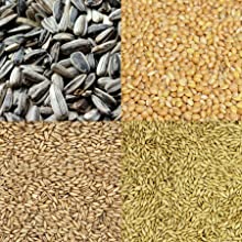 Hagen Staple VME Seed - Cockatiel 🍁