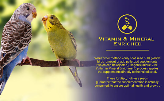Hagen Parakeet (Budgie) Staple VME Seed - Exotic Wings and Pet Things