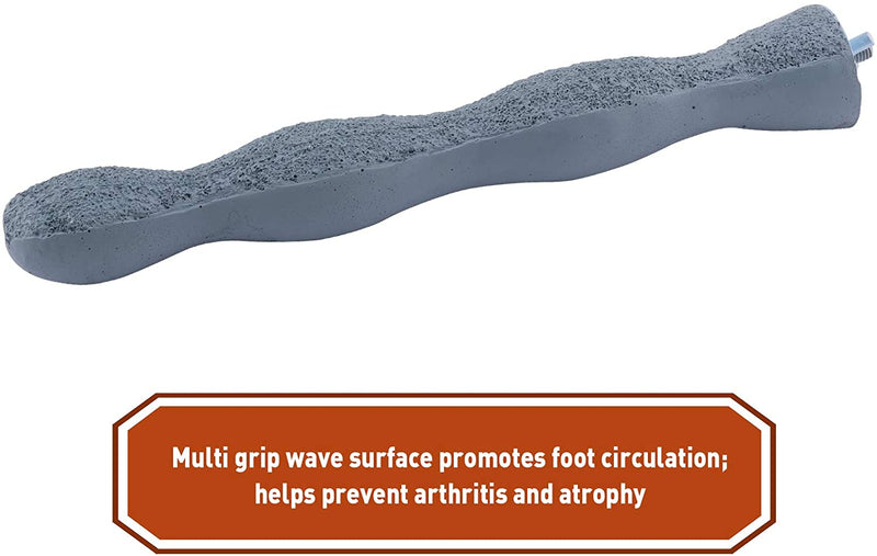 Load image into Gallery viewer, Living World Bird Nail Pedi-Perch - Large