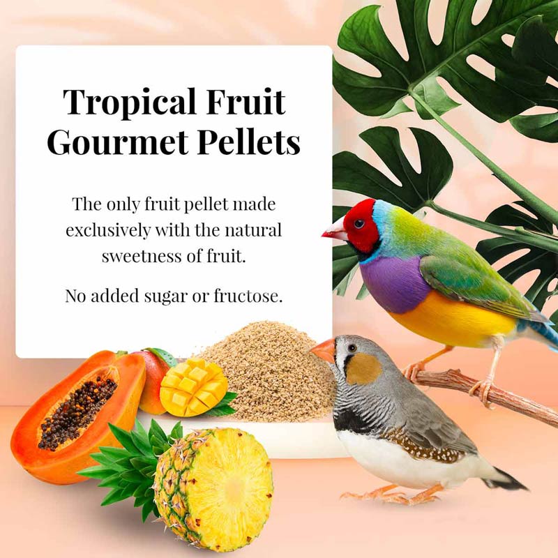 Load image into Gallery viewer, Lafeber's Tropical Fruit Gourmet Finch Pellet