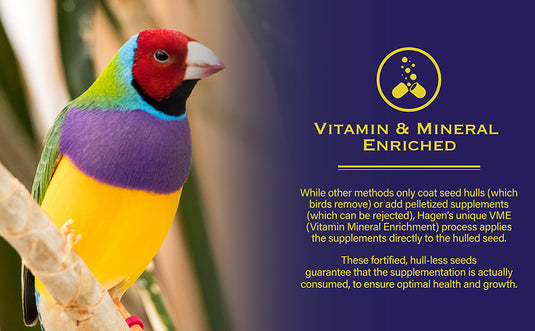 Hagen Finch Staple VME Seed - Exotic Wings and Pet Things