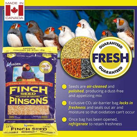 Hagen Staple VME Seed - Finch 🍁