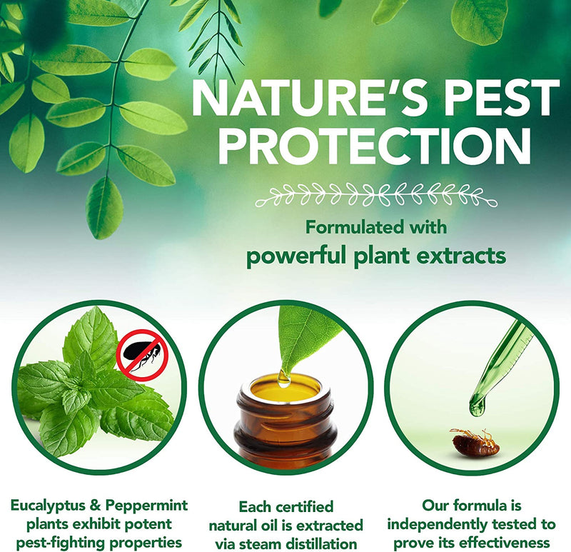 Load image into Gallery viewer, Flea & Itch Relief Dog Shampoo