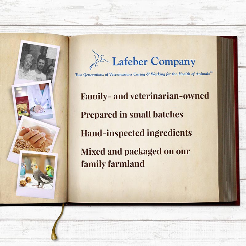 Load image into Gallery viewer, Lafeber's Senior Blend Nutri-Berries Parakeet/Cockatiel