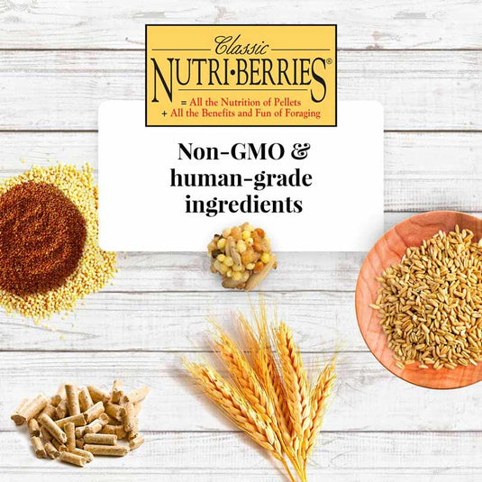 Lafeber's Classic Nutri-Berries Parakeet