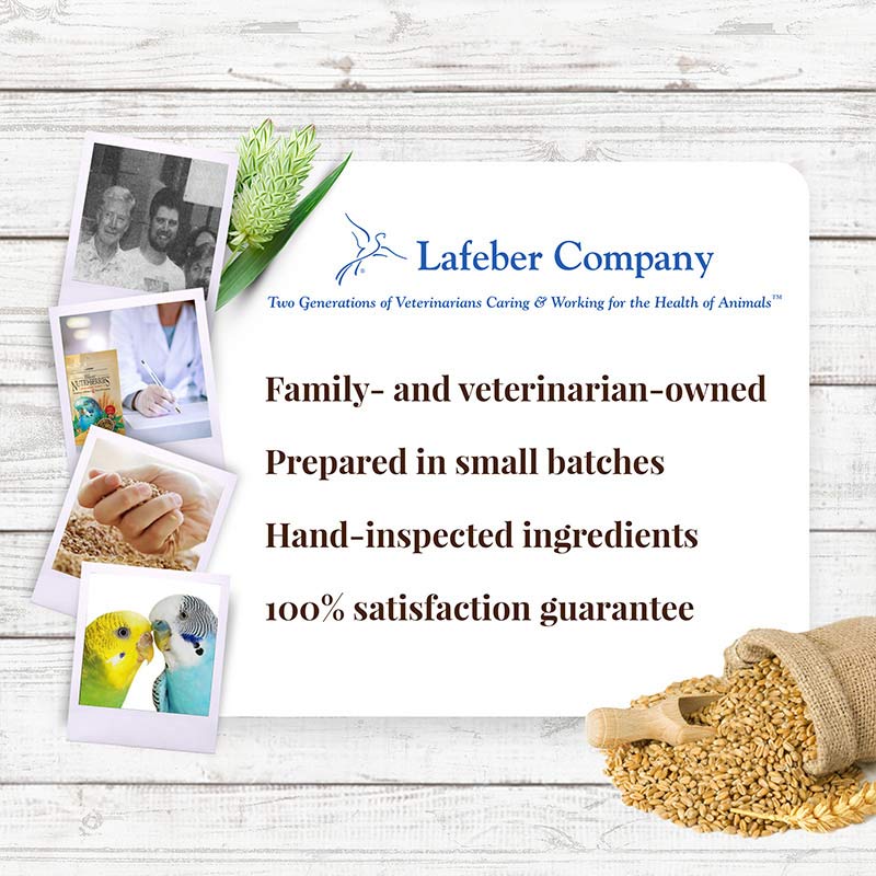 Load image into Gallery viewer, Lafeber's Classic Nutri-Berries Parakeet