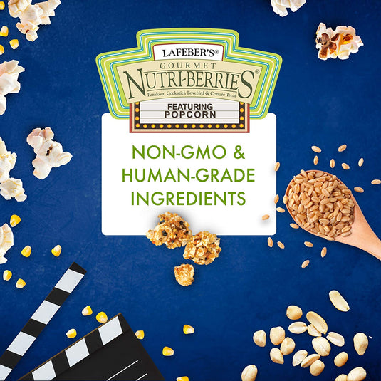 Lafeber's Popcorn Nutri-Berries - Small Bird