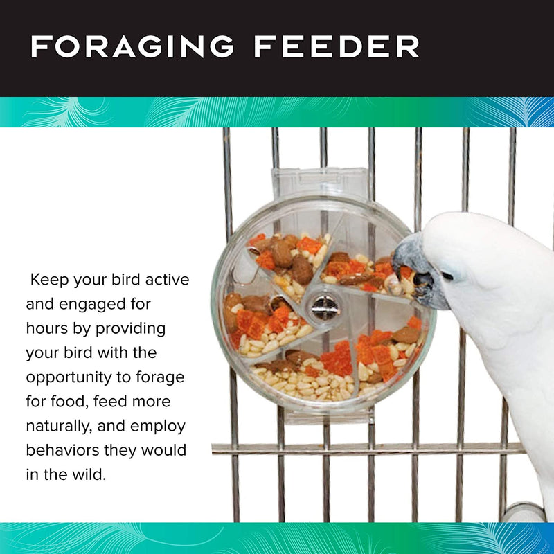 Load image into Gallery viewer, RE + Enforcement Foraging Wheel Creative Systems Large Parrot Toy - 00613
