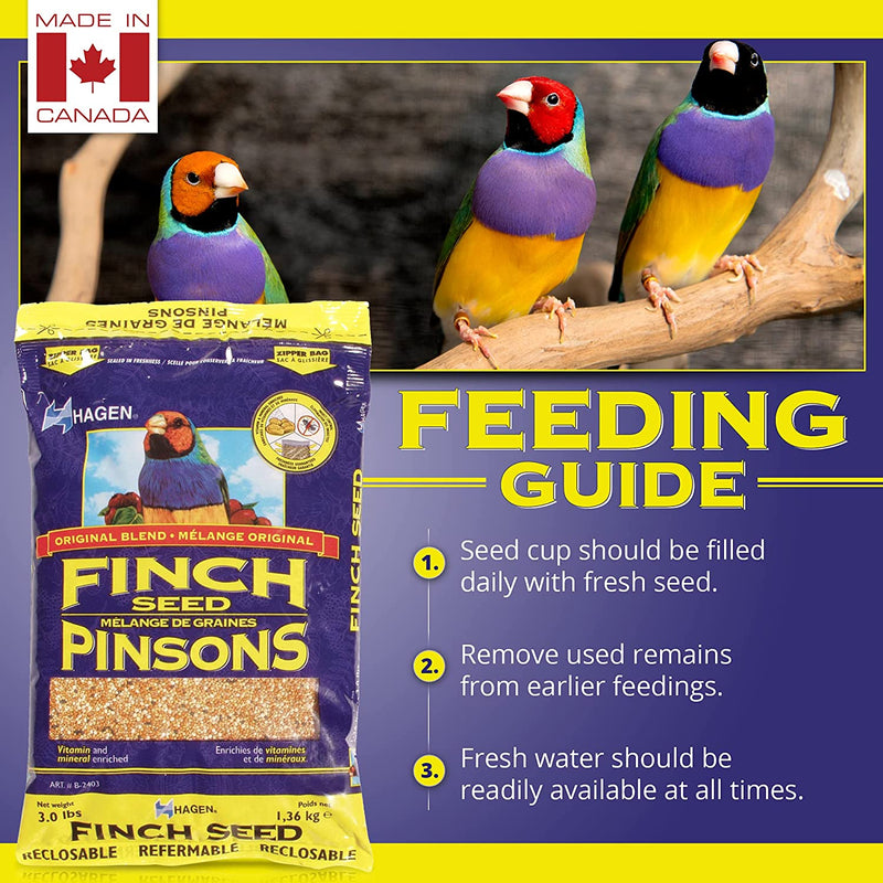 Load image into Gallery viewer, Hagen Staple VME Seed - Finch 🍁