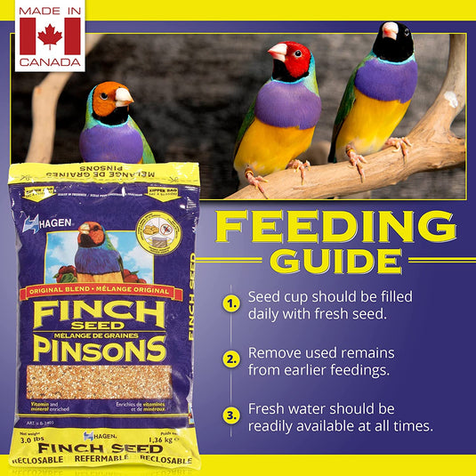 Hagen Staple VME Seed - Finch 🍁