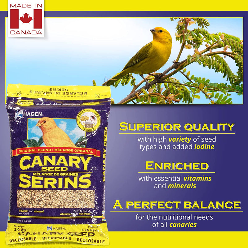 Load image into Gallery viewer, Hagen Staple VME Seed - Canary 🍁
