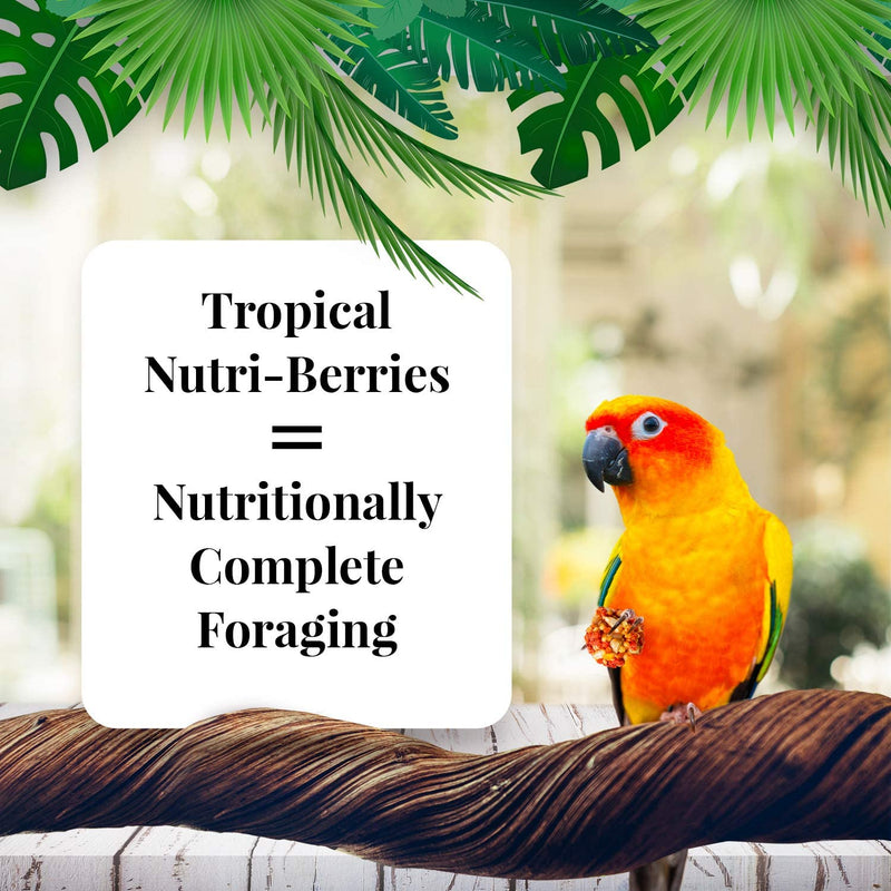 Load image into Gallery viewer, Lafeber's Tropical Fruit Gourmet Nutri-Berries Conure