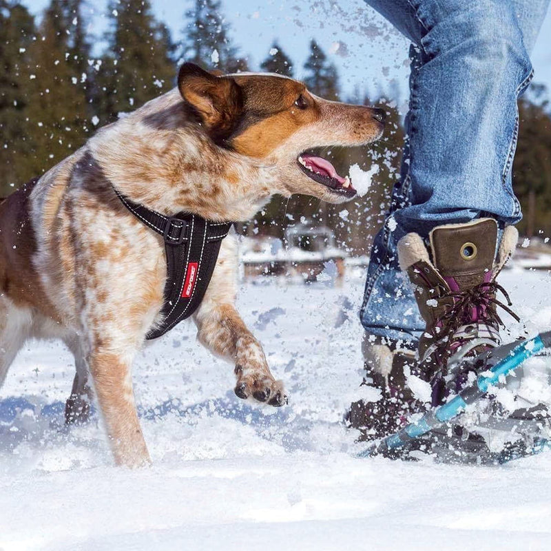 Load image into Gallery viewer, EzyDog Chest Plate Harness - Medium (16-29in)