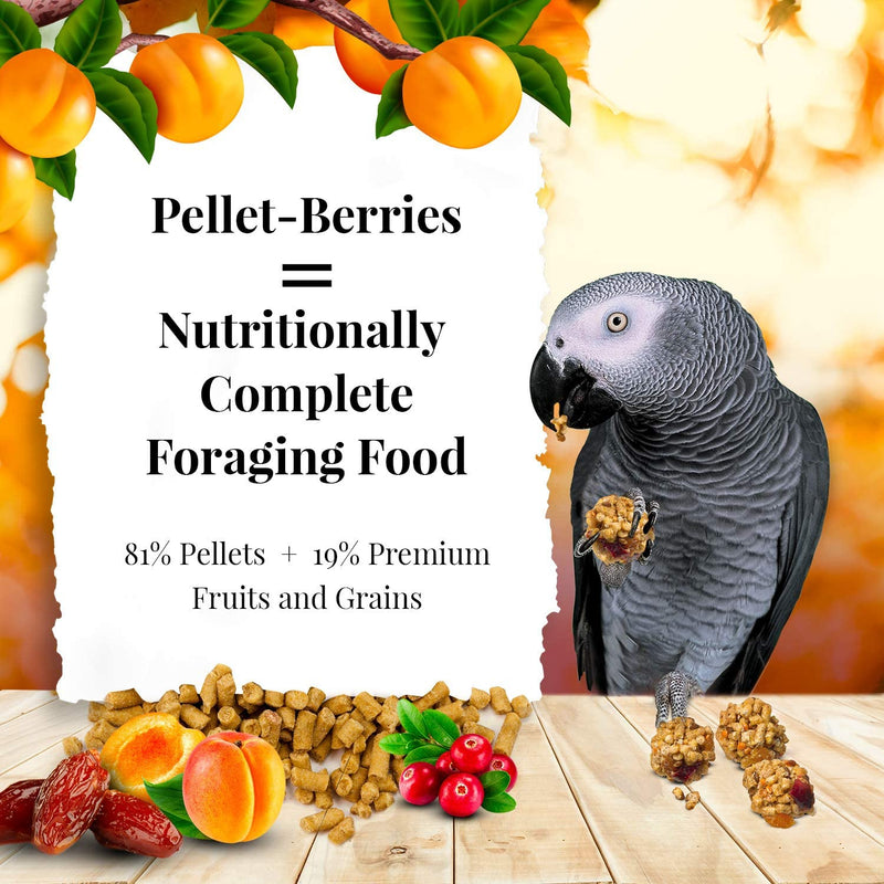 Lafeber's Sunny Orchard Pellet-Berries Parrot