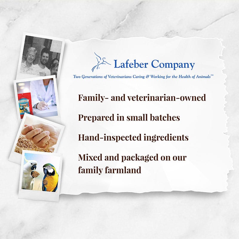 Load image into Gallery viewer, Lafeber's Classic Avi-Cakes Macaw/Cockatoo