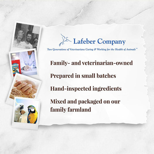 Lafeber's Classic Avi-Cakes Macaw/Cockatoo